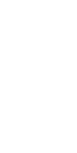 medio mandala conchita morera izquierda 25